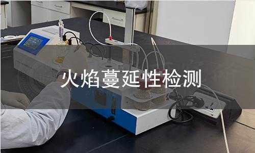 火焰蔓延性檢測