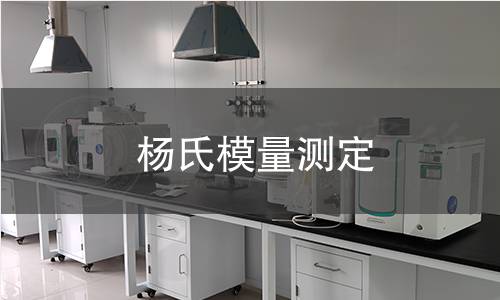 楊氏模量測(cè)定