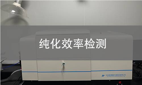 純化效率檢測