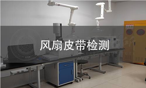 風(fēng)扇皮帶檢測(cè)