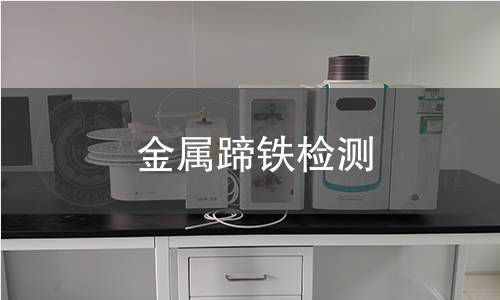 金屬蹄鐵檢測(cè)