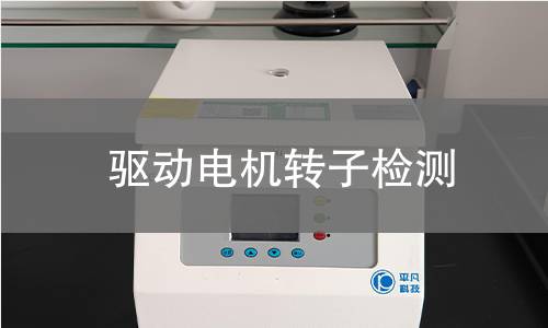 驅(qū)動(dòng)電機(jī)轉(zhuǎn)子檢測(cè) 驅(qū)動(dòng)電機(jī)轉(zhuǎn)子檢測(cè)