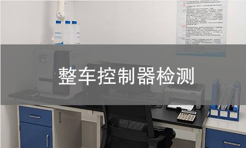 整車控制器檢測