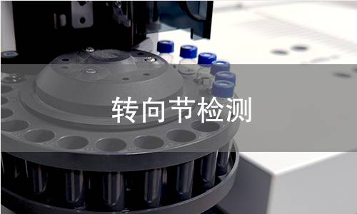 轉(zhuǎn)向節(jié)檢測(cè) 轉(zhuǎn)向節(jié)檢測(cè)