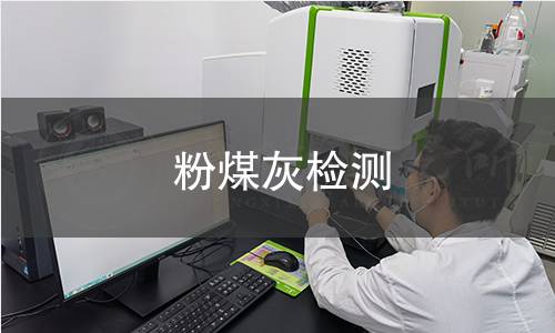 粉煤灰檢測