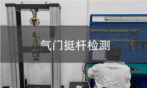 氣門挺桿檢測