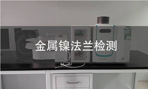 金屬鎳法蘭檢測