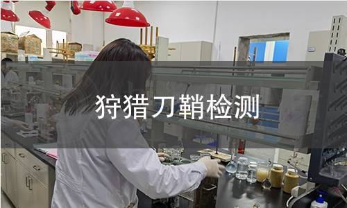 狩獵刀鞘檢測(cè)