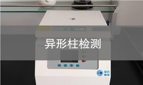 異形柱檢測(cè) 異形柱檢測(cè)