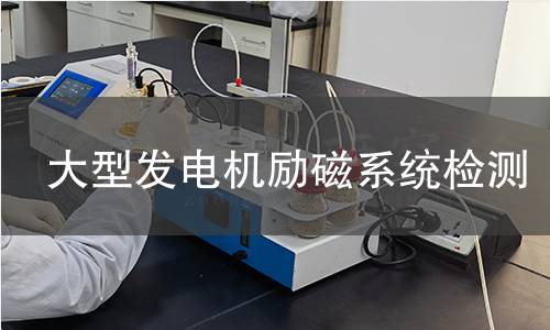 大型發(fā)電機(jī)勵(lì)磁系統(tǒng)檢測(cè)