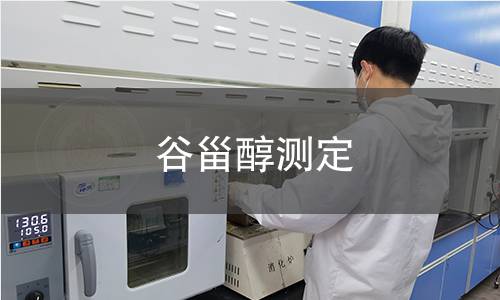 電子調速微型異步電動機檢測