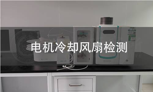 電機(jī)冷卻風(fēng)扇檢測(cè) 電機(jī)冷卻風(fēng)扇檢測(cè)