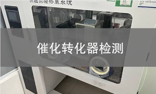 催化轉(zhuǎn)化器檢測