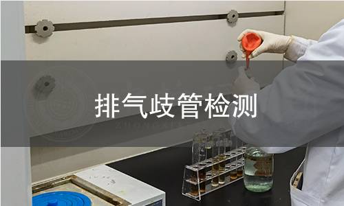 排氣歧管檢測