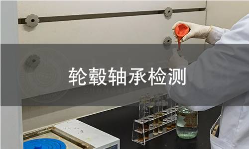 輪轂軸承檢測(cè)