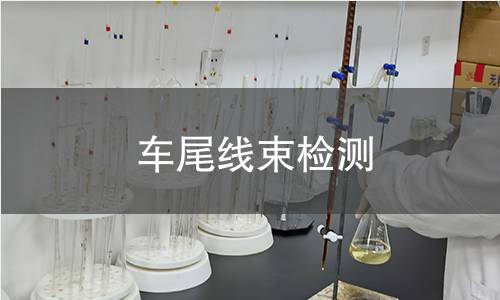 車尾線束檢測(cè)