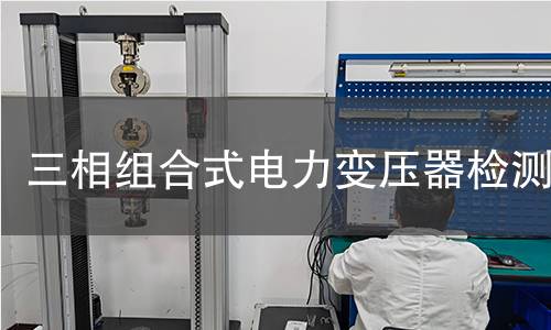 三相組合式電力變壓器檢測