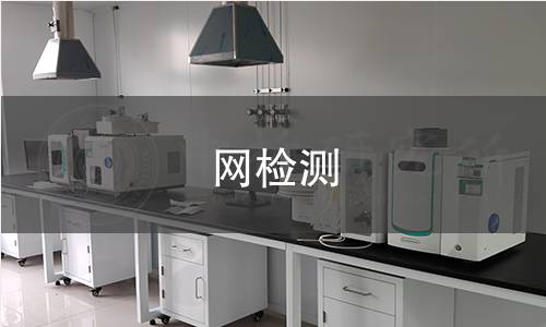 網(wǎng)檢測