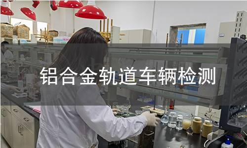 鋁合金軌道車輛檢測