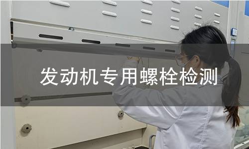 發(fā)動機(jī)專用螺栓檢測