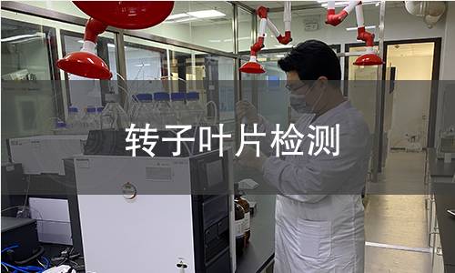 轉(zhuǎn)子葉片檢測(cè)