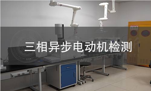 三相異步電動(dòng)機(jī)檢測(cè)