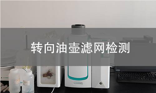 轉向油壺濾網檢測