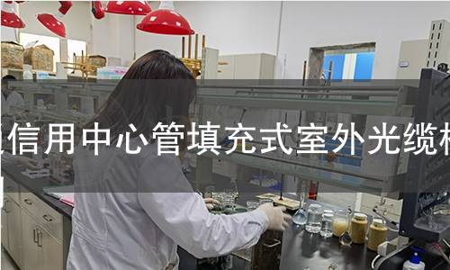 通信用中心管填充式室外光纜檢測