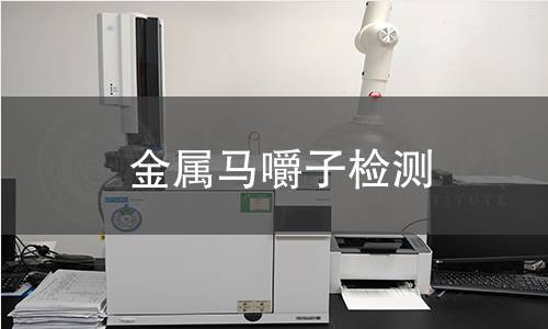 金屬馬嚼子檢測