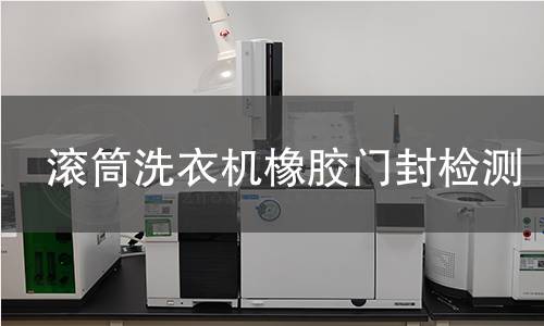 滾筒洗衣機(jī)橡膠門封檢測