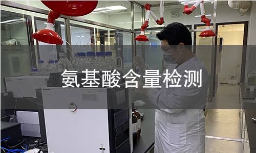 氨基酸含量檢測