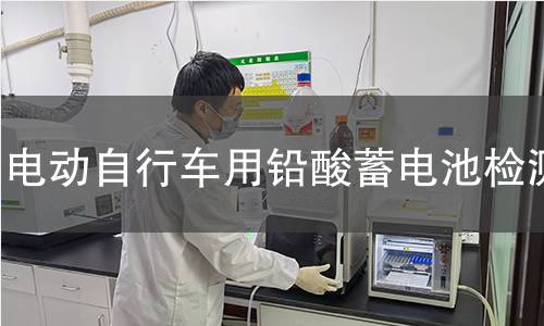 電動(dòng)自行車用鉛酸蓄電池檢測(cè)