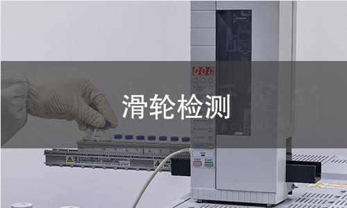 滑輪檢測(cè) 滑輪檢測(cè)