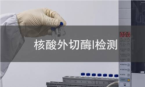  核酸外切酶I檢測