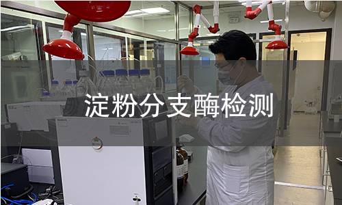  淀粉分支酶檢測