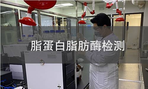  脂蛋白脂肪酶檢測(cè)