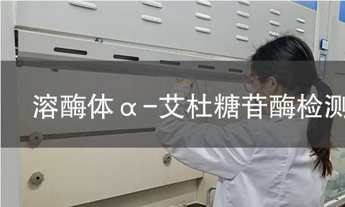 溶酶體α-艾杜糖苷酶檢測 溶酶體α-艾杜糖苷酶檢測