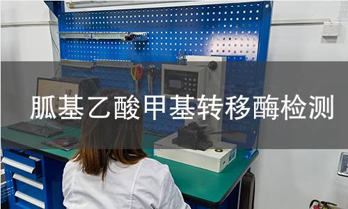 胍基乙酸甲基轉(zhuǎn)移酶檢測