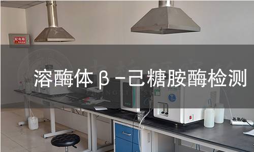 溶酶體β-己糖胺酶檢測(cè) 溶酶體β-己糖胺酶檢測(cè)