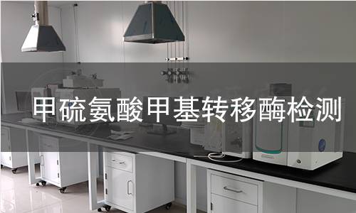 甲硫氨酸甲基轉移酶檢測