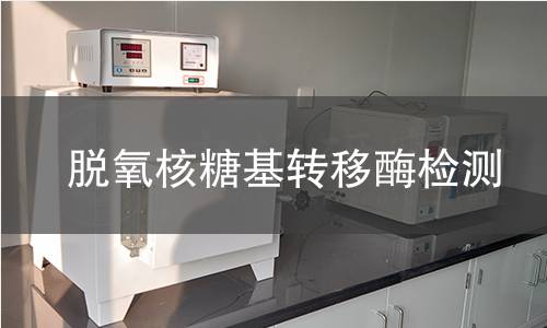 脫氧核糖基轉(zhuǎn)移酶檢測