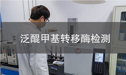 泛醌甲基轉(zhuǎn)移酶檢測(cè)