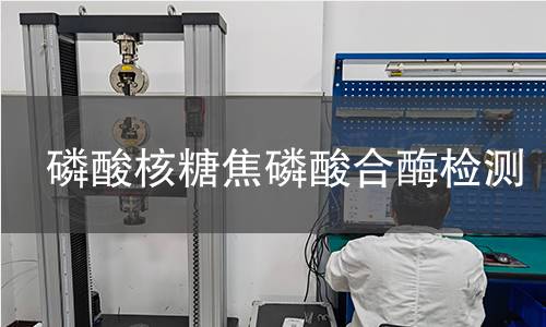 磷酸核糖焦磷酸合酶檢測