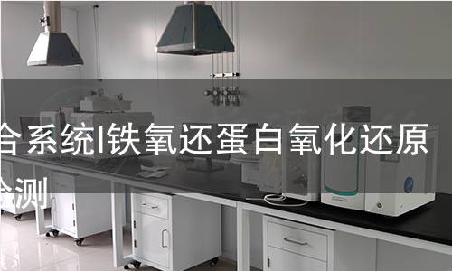  光合系統(tǒng)I鐵氧還蛋白氧化還原酶檢測(cè)