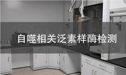 自噬相關(guān)泛素樣酶檢測 自噬相關(guān)泛素樣酶檢測