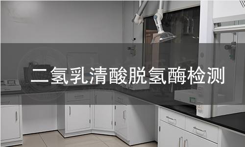 二氫乳清酸脫氫酶檢測 二氫乳清酸脫氫酶檢測