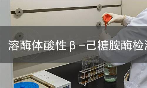 溶酶體酸性β-己糖胺酶檢測 溶酶體酸性β-己糖胺酶檢測