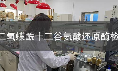 二氫蝶酰十二谷氨酸還原酶檢測