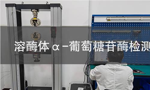 溶酶體α-葡萄糖苷酶檢測 溶酶體α-葡萄糖苷酶檢測