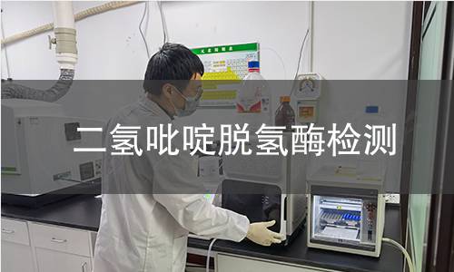 二氫吡啶脫氫酶檢測(cè) 二氫吡啶脫氫酶檢測(cè)